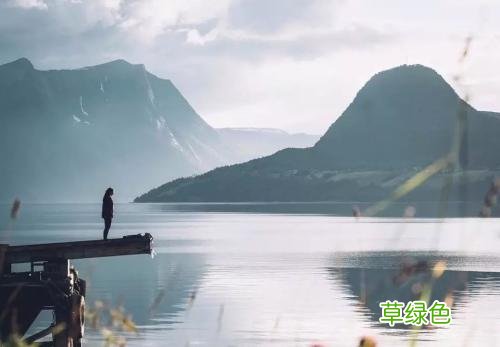 纵有疾风起丶人生不严弃