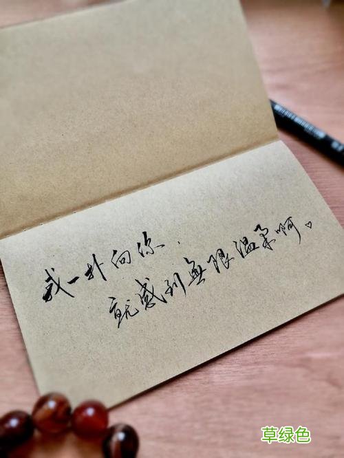 纵有疾风起丶人生不严弃