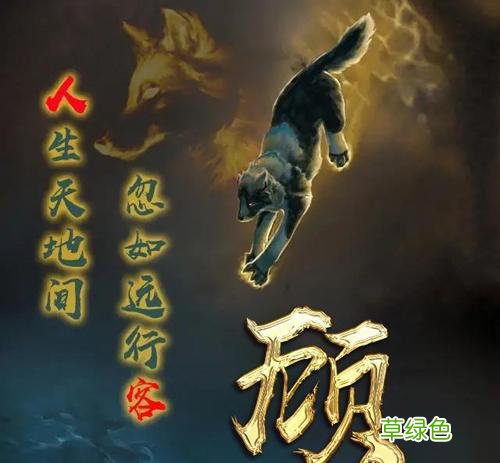 纵有疾风起,皇族永不言弃 纵有疾风起皇族视频