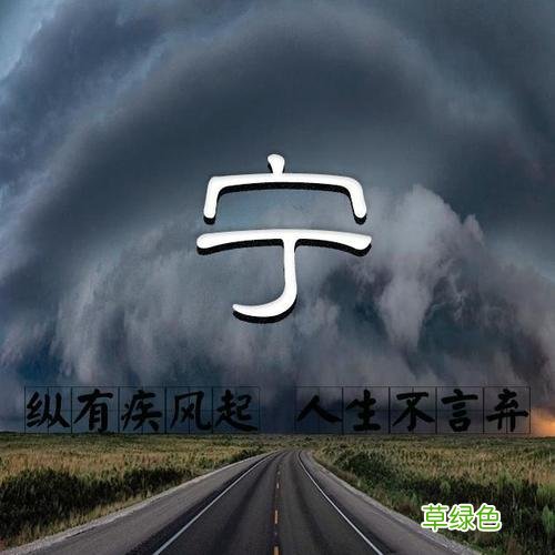 纵有疾风起人生不言弃的文章