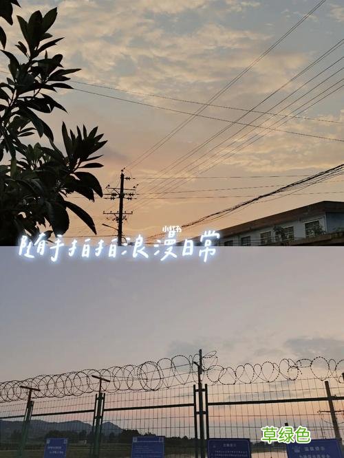 纵有疾风起人生不言弃的文章