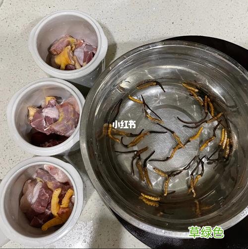 孕妇可以吃冬虫夏草煲的鸡汤吗