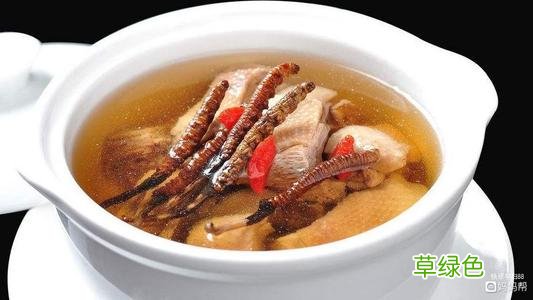 孕妇可以吃冬虫夏草煲的鸡汤吗