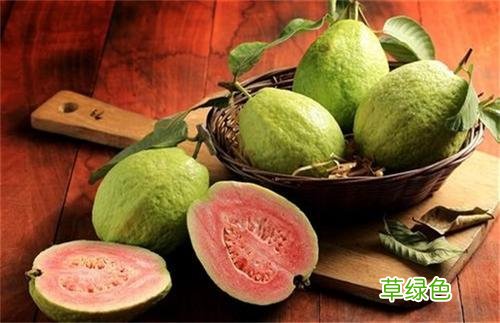 红心芭乐的功效与作用 芭乐功效与作用