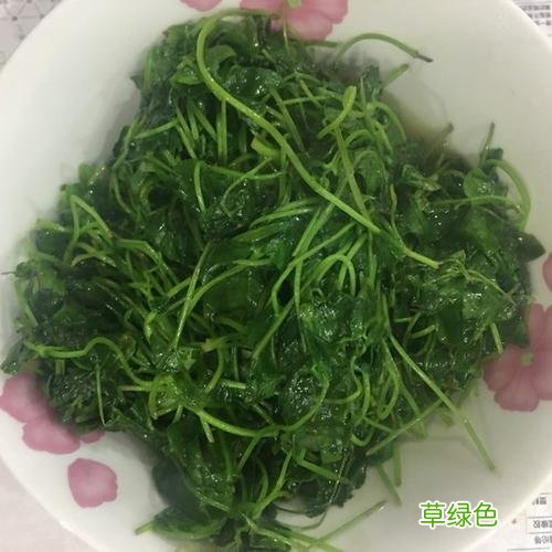 草头的功效与作用 草头功效与作用