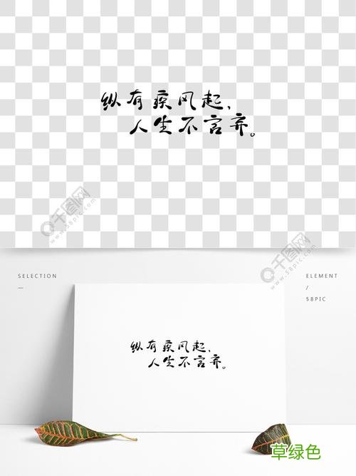 纵有疾风起人生不言弃下集
