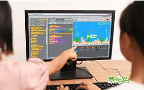 什么是编程 编程需要会什么