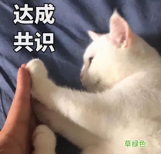 纵有疾风起皇族不言弃 纵有疾风起皇族不言