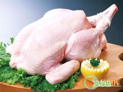 鸡黄的营养价值及功效与作用 鸡黄作用与功效