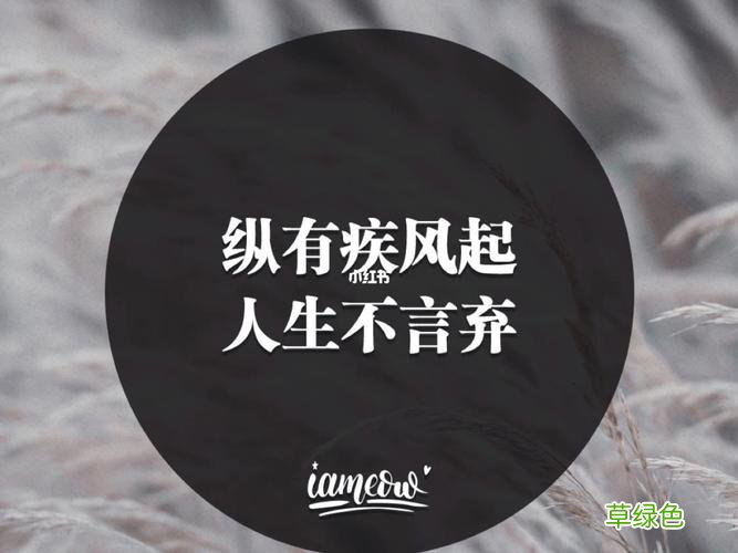 送你一句话纵有疾风起人生不言弃