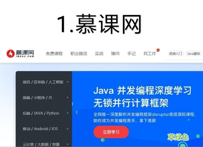 零基础免费学编程app 免费自学编程