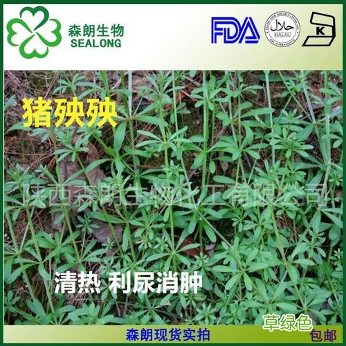 锯棕榈的功效与作用 锯的作用与功效