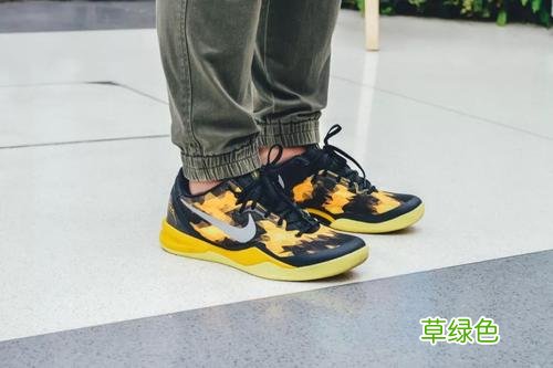 今天是科比什么日子 科比现今天穿的什么鞋