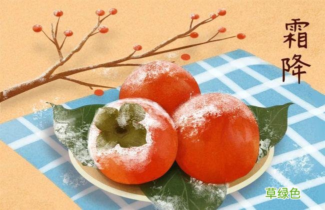 硬柿子不能与什么一起吃 柿子不能和什么一起吃食用