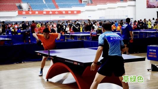 乒乓球正反胶什么意思 乒乓球公开赛什么意思
