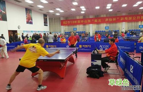 乒乓球正反胶什么意思 乒乓球公开赛什么意思