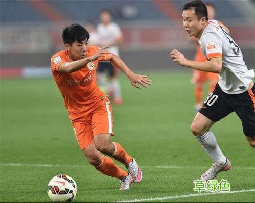 瓜林为什么离队 瓜林为什么离婚