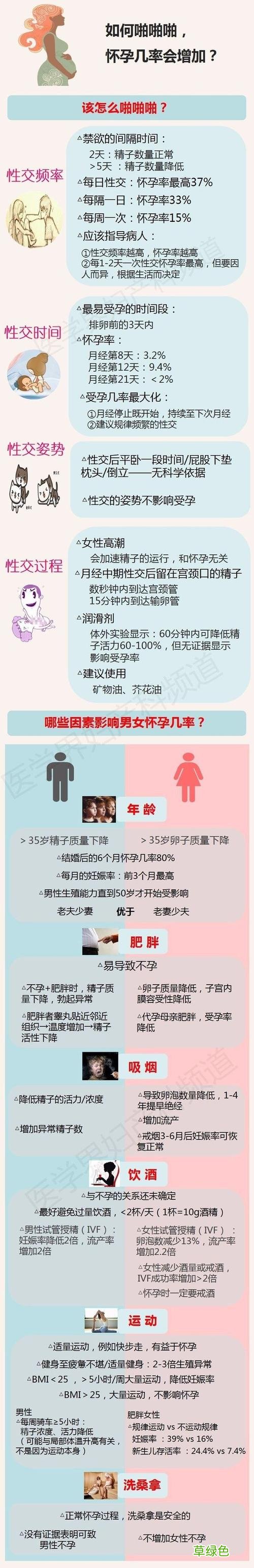 辅酶q10的作用与功效及禁忌 辅酶作用与功效