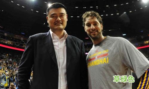 弹无虚发在文中指姚明 姚明弹无虚发形容什么