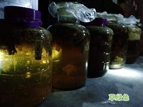 珍黄胶囊的功效与作用 酒黄作用与功效
