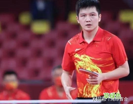 当年国乒乓队为什么退赛 国乒乓为什么退赛