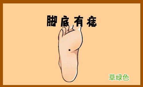 猫咪在脚底下睡是什么意思 脚底生花是什么意思
