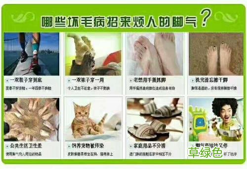 猫咪在脚底下睡是什么意思 脚底生花是什么意思