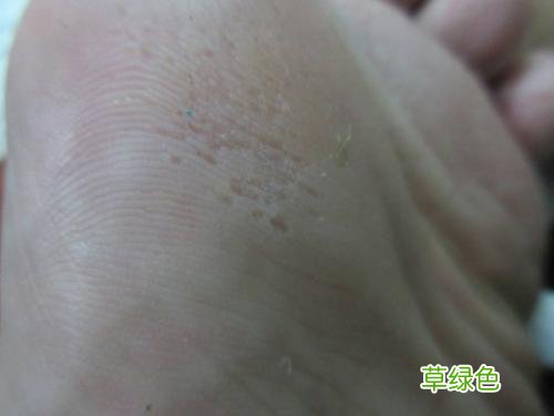 猫咪在脚底下睡是什么意思 脚底生花是什么意思