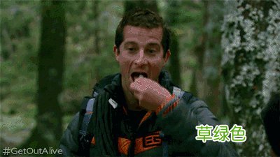 贝爷吃什么保护动物了 贝爷拍节目吃什么