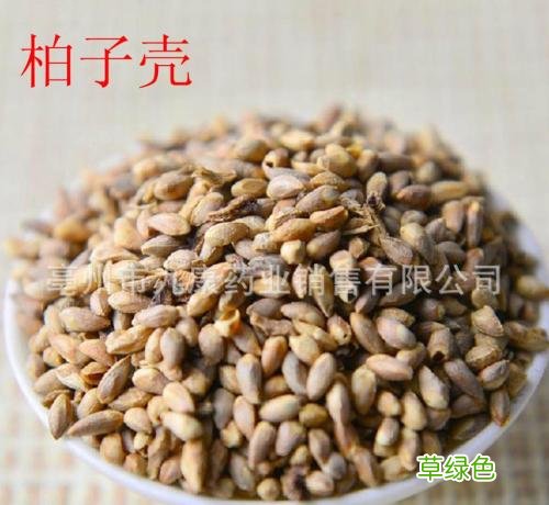 柏子功效与作用是什么 柏子功效与作用