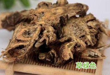 独活的功效与作用禁忌 独活作用与功效