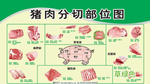 猪肉