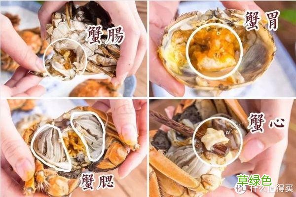 大闸蟹批发 大闸蟹