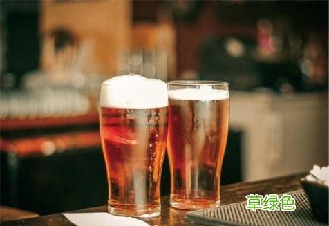 鲜啤加盟品牌排行榜 啤酒
