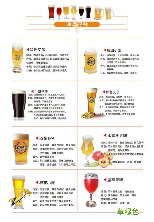 鲜啤加盟品牌排行榜 啤酒
