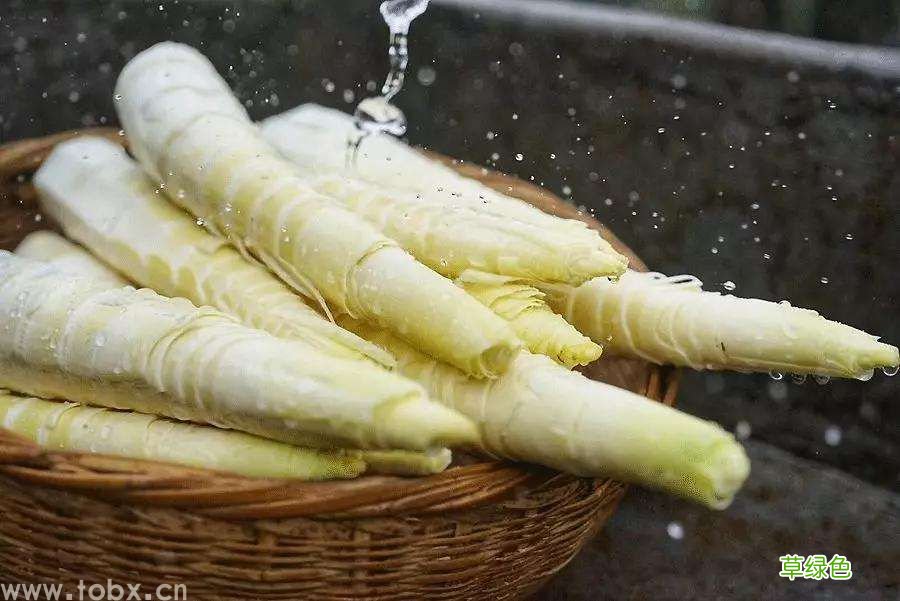春季吃什么菜对胃好