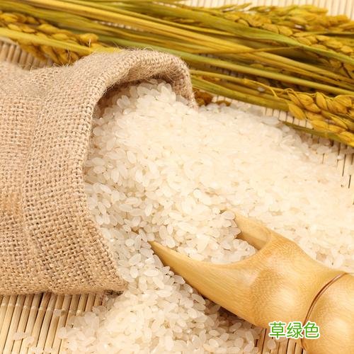 大米做的各种小吃 大米