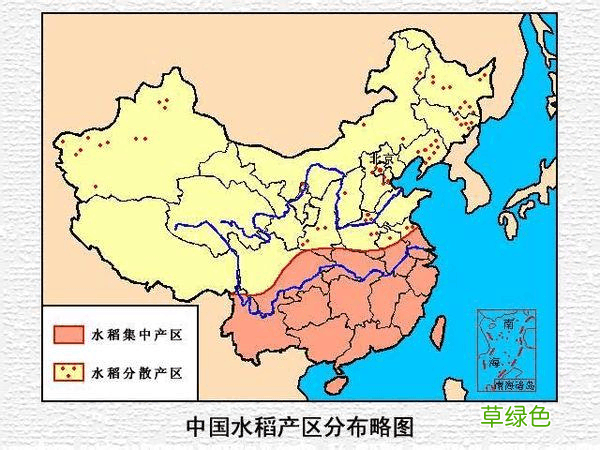 大米做的各种小吃 大米