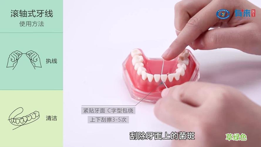 牙钳握持手法 牙线