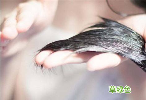 护发素排行榜 护发素