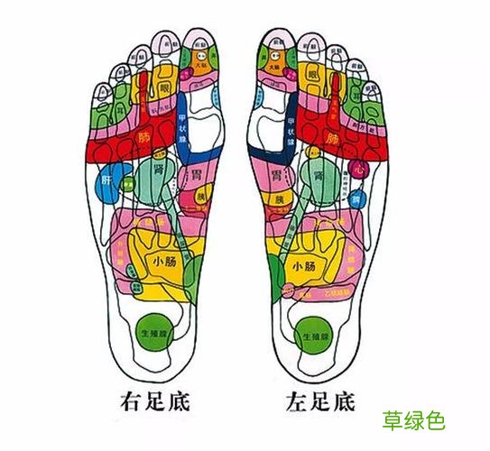 超痛足底按摩 足部护理