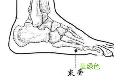 巴戟杜仲核桃煲汤大全 巴戟核桃汤功效