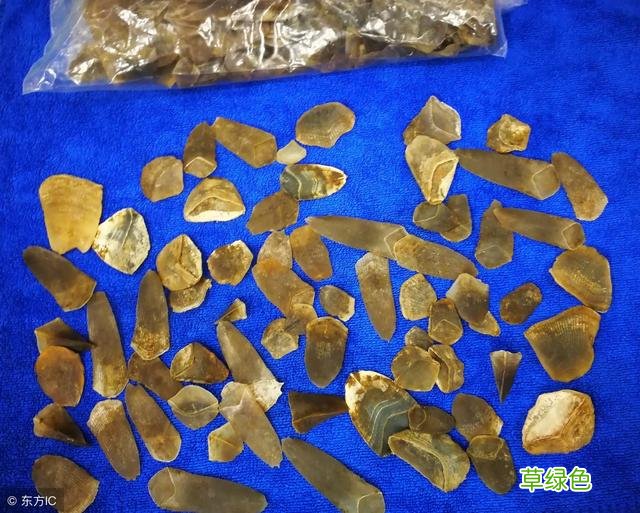 穿山甲片的用处 川山甲片功效和作用