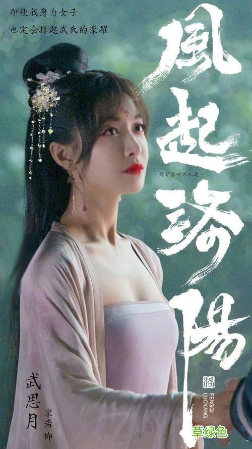 风起洛阳 制片人 风起洛阳电视剧制片人是谁