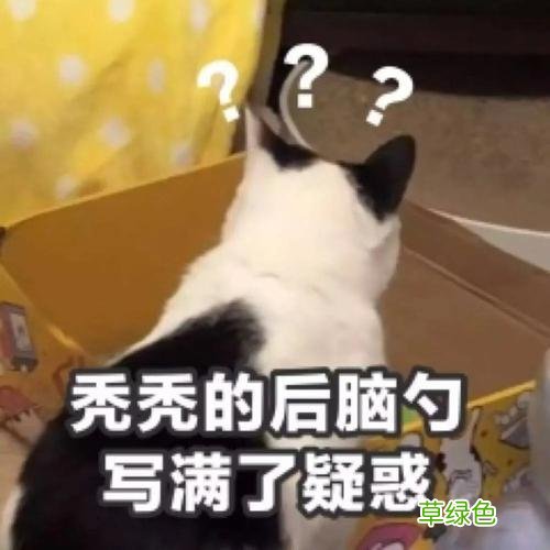 风起洛阳 制片人 风起洛阳电视剧制片人是谁