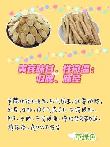 黄芪是起什么作用的 黄芪有什么功效