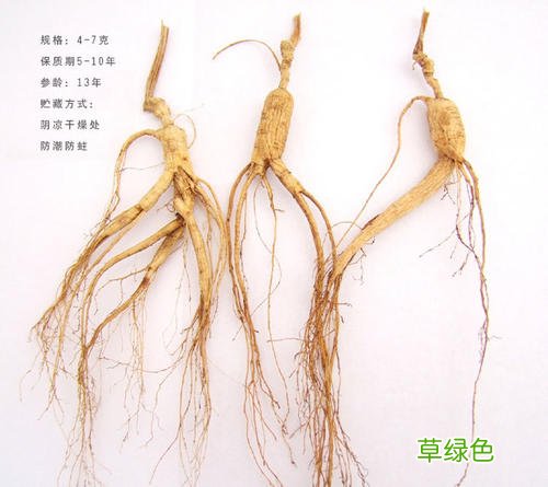 壮腰健肾用什么泡酒比较好 壮腰健肾的泡酒料