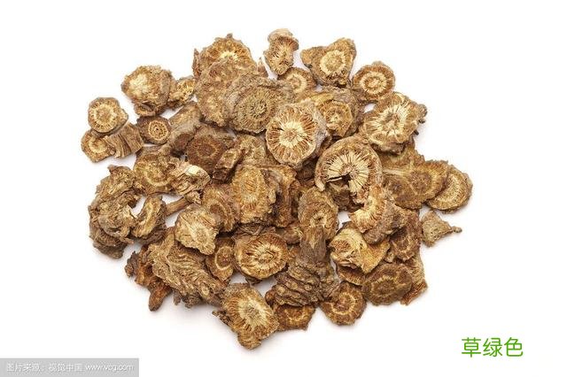 羌活有什么功效与作用 羌和的功效与作用