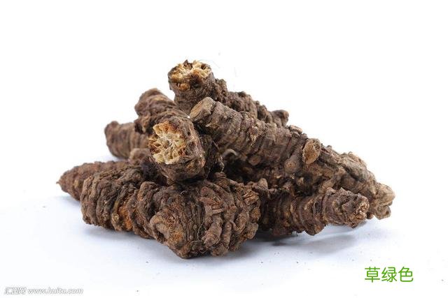 羌活有什么功效与作用 羌和的功效与作用