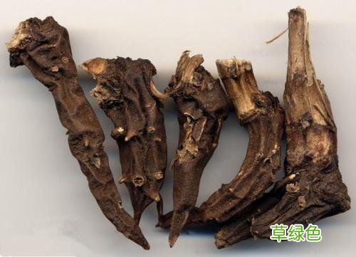 乌头的功效与作用别名 乌头的功效与作用